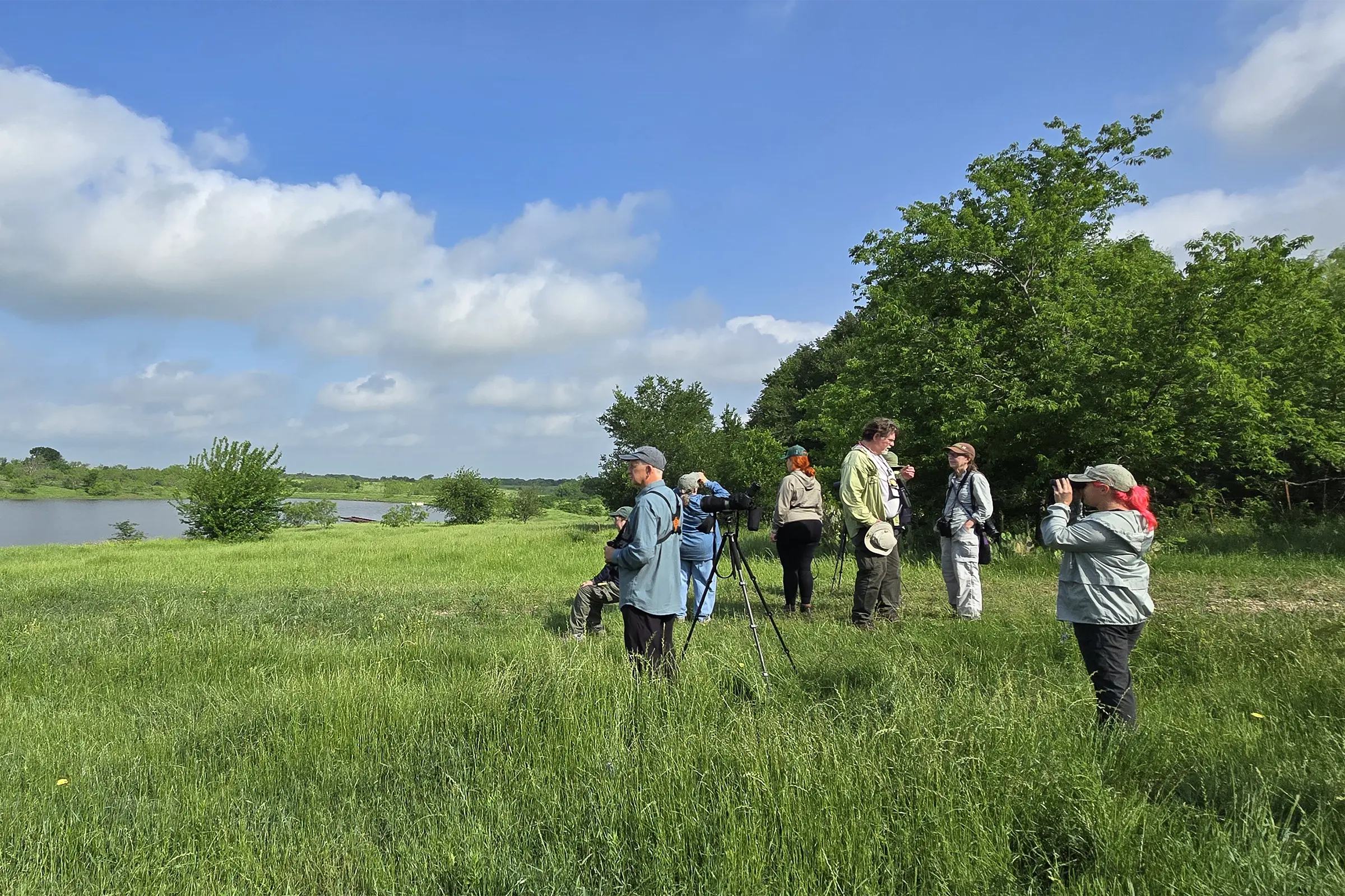 People standing in a field looking at scenery.